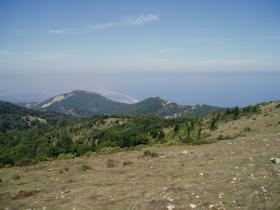 photo coins arrondis